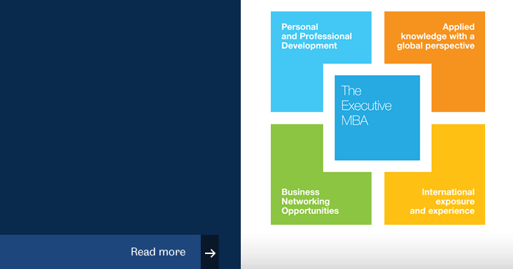 The Pan-European Executive MBA: a holistic approach to business management education